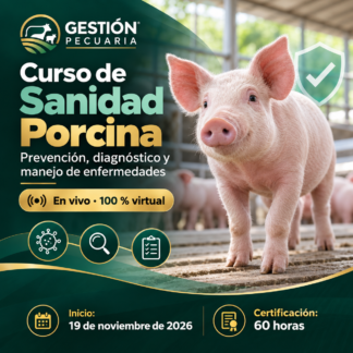 Curso de Sanidad Porcina: prevención, diagnóstico y manejo de enfermedades. Inicio 19 de noviembre de 2026.